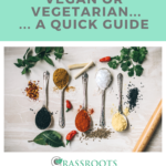 Being a Healthy Vegan or Vegetarian