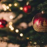 Surviving the silly season